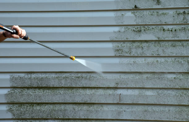 Best Sidewalk and Walkway Cleaning  in North Fair Oaks, CA
